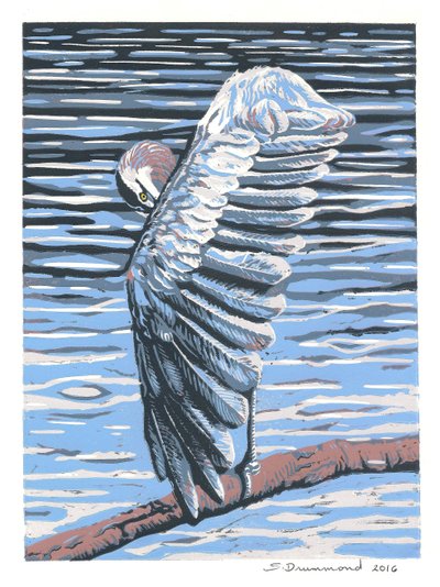 Refleksja, 2016 (obraz) autorstwa Sarah Drummond