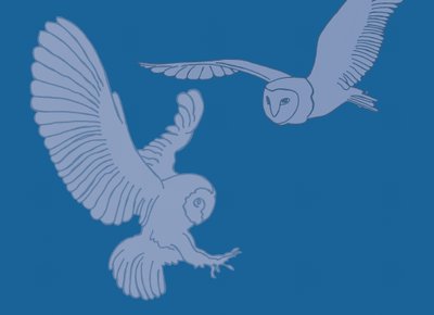 Płomykówki, 2017 autorstwa Sarah Hough