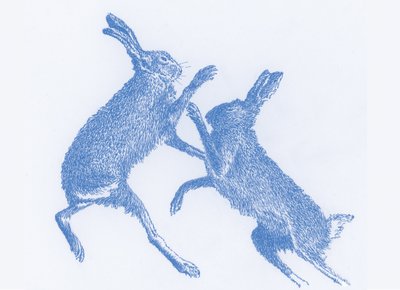 Zające bokserskie, 2017 autorstwa Sarah Hough