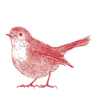 Robin, 2017 autorstwa Sarah Hough
