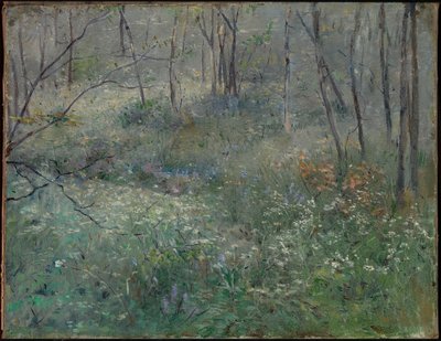 Dzika pietruszka autorstwa Sarah Paxton Ball Dodson
