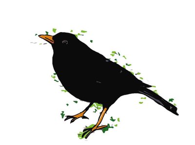 Blackbird, 2018, (rysunek cyfrowy) autorstwa Sarah Thompson Engels