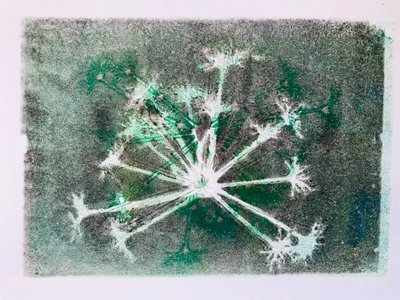 Seedhead I,2020,(monodruk) autorstwa Sarah Thompson Engels