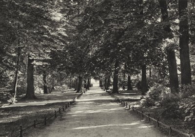 Berlin: Tiergarten (zdjęcie czarno-białe) autorstwa Sasha Stone