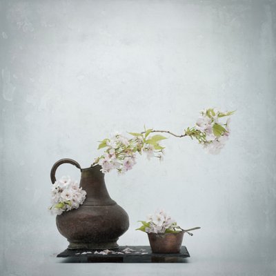  autorstwa Saskia Dingemans