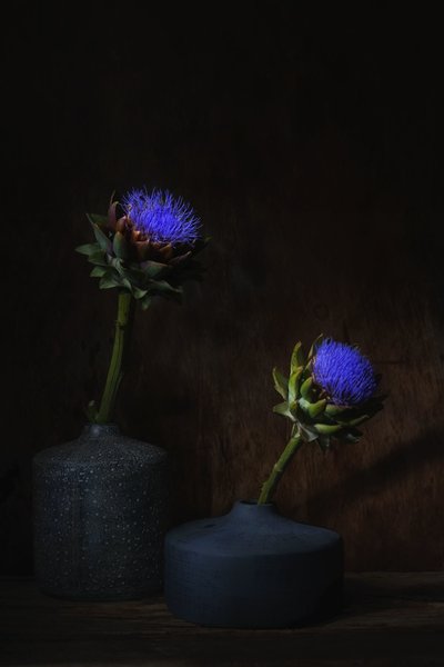  autorstwa Saskia Dingemans