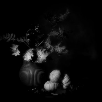  autorstwa Saskia Dingemans