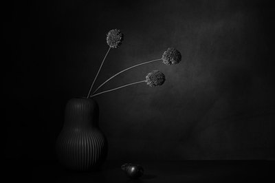  autorstwa Saskia Dingemans