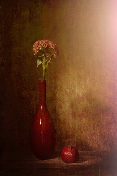  autorstwa Saskia Dingemans