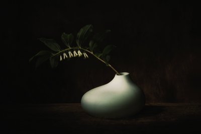  autorstwa Saskia Dingemans
