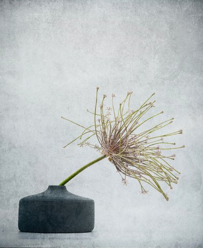  autorstwa Saskia Dingemans