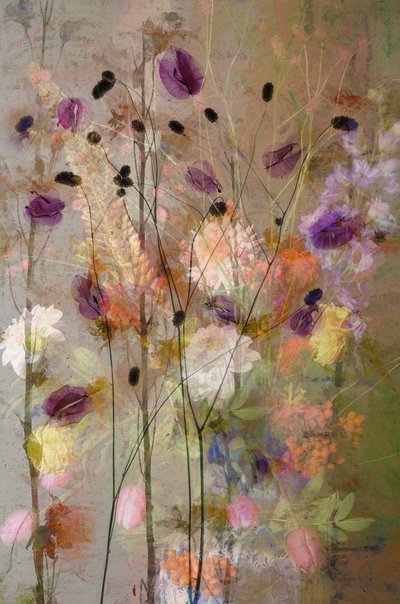  autorstwa Saskia Dingemans