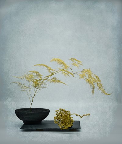  autorstwa Saskia Dingemans