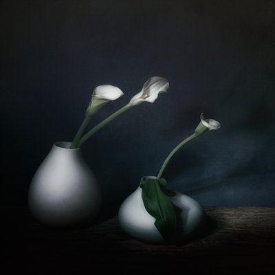  autorstwa Saskia Dingemans
