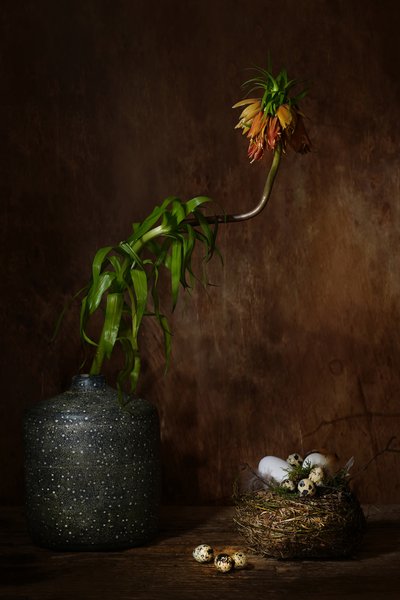  autorstwa Saskia Dingemans