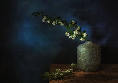  autorstwa Saskia Dingemans