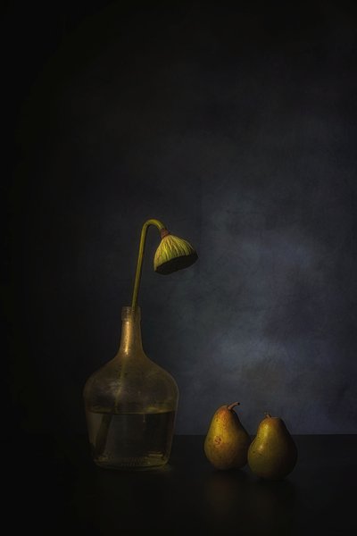  autorstwa Saskia Dingemans