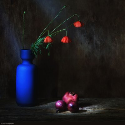  autorstwa Saskia Dingemans
