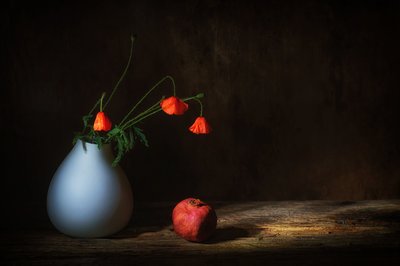  autorstwa Saskia Dingemans