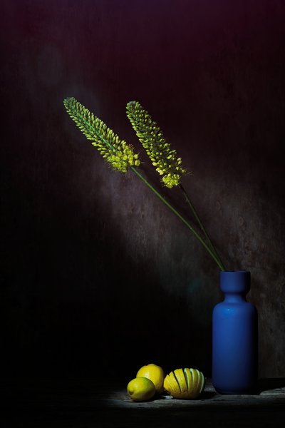  autorstwa Saskia Dingemans