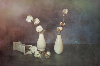  autorstwa Saskia Dingemans