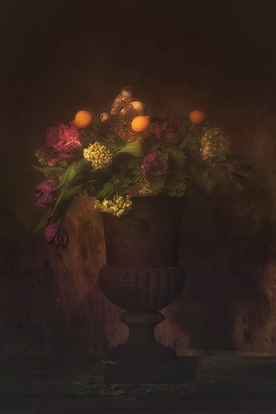  autorstwa Saskia Dingemans