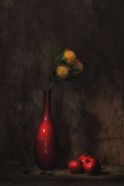  autorstwa Saskia Dingemans