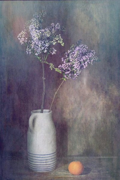  autorstwa Saskia Dingemans