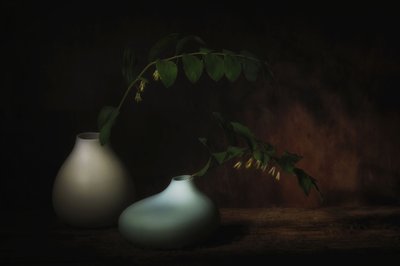  autorstwa Saskia Dingemans