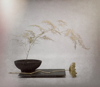  autorstwa Saskia Dingemans