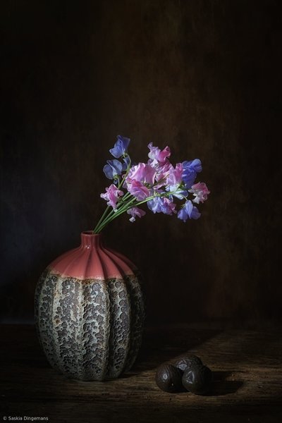  autorstwa Saskia Dingemans