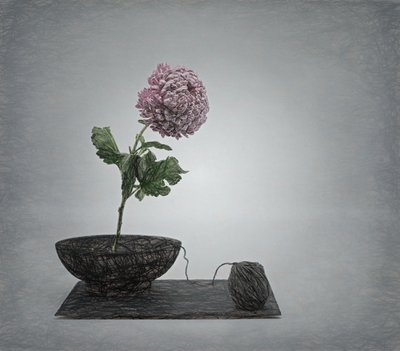  autorstwa Saskia Dingemans