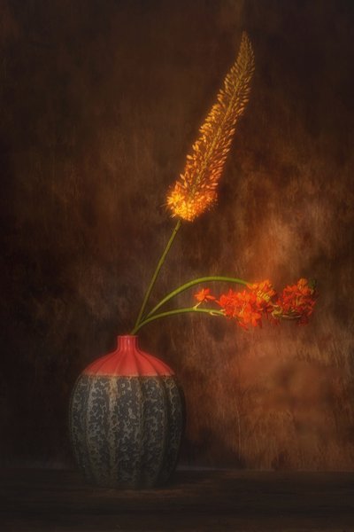  autorstwa Saskia Dingemans