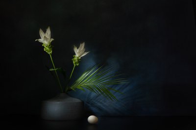  autorstwa Saskia Dingemans