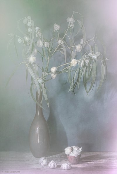  autorstwa Saskia Dingemans