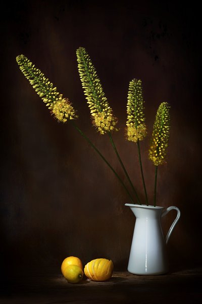  autorstwa Saskia Dingemans
