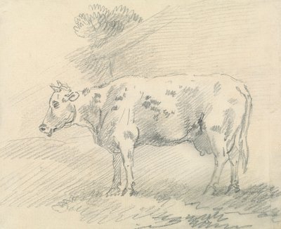 Krowa autorstwa Sawrey Gilpin
