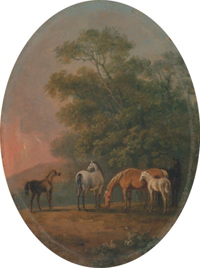 Klacze i źrebięta [1795, Royal Academy of Arts, Londyn, katalog wystawy] autorstwa Sawrey Gilpin