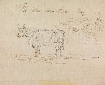 Wolny Martin autorstwa Sawrey Gilpin