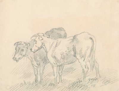 Dwie krowy autorstwa Sawrey Gilpin