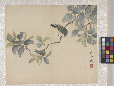 8-listkowy album z kwiatami, połowa XVIII wieku (tusz i kolor na papierze) autorstwa School Chinese