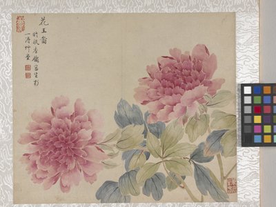 8-listkowy album z kwiatami, połowa XVIII wieku (tusz i kolor na papierze) autorstwa School Chinese