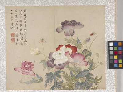 8-listkowy album z kwiatami, połowa XVIII wieku (tusz i kolor na papierze) autorstwa School Chinese