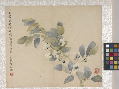 8-listkowy album z kwiatami, połowa XVIII wieku (tusz i kolor na papierze) autorstwa School Chinese