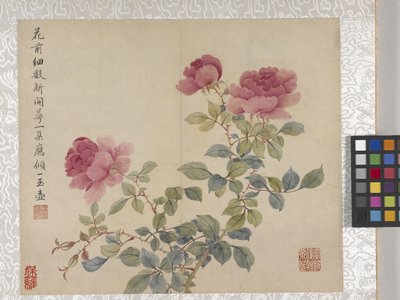 8-listkowy album z kwiatami, połowa XVIII wieku (tusz i kolor na papierze) autorstwa School Chinese