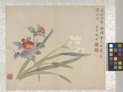 8-listkowy album z kwiatami, połowa XVIII wieku (tusz i kolor na papierze) autorstwa School Chinese