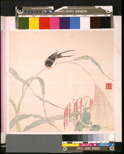 Album kwiatów i ptaków autorstwa School Chinese