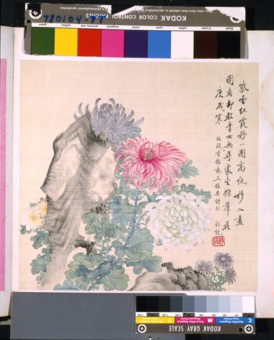 Album kwiatów i ptaków, data nieznana (tusz i kolor na jedwabiu) autorstwa School Chinese