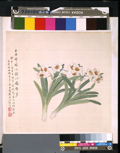 Album kwiatów i ptaków, data nieznana (tusz i kolor na jedwabiu) autorstwa School Chinese