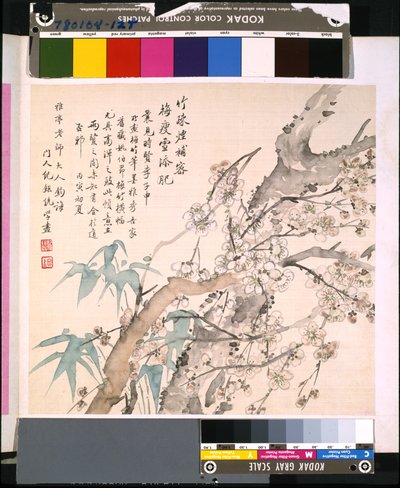 Album kwiatów i ptaków, data nieznana (tusz i kolor na jedwabiu) autorstwa School Chinese